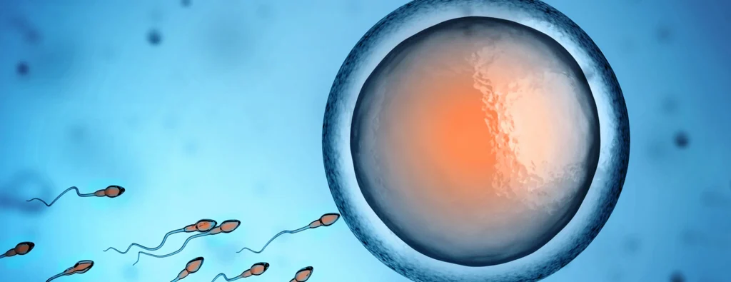 sperm cells approaching a large egg cell, illustrating the process of conception against a blue background
