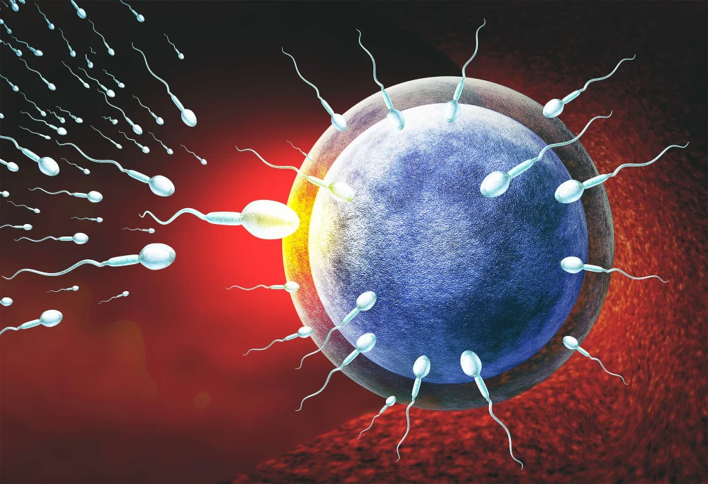 sperm approaching an egg, illustrating the process of conception against a vibrant background
